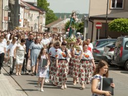 Plik17